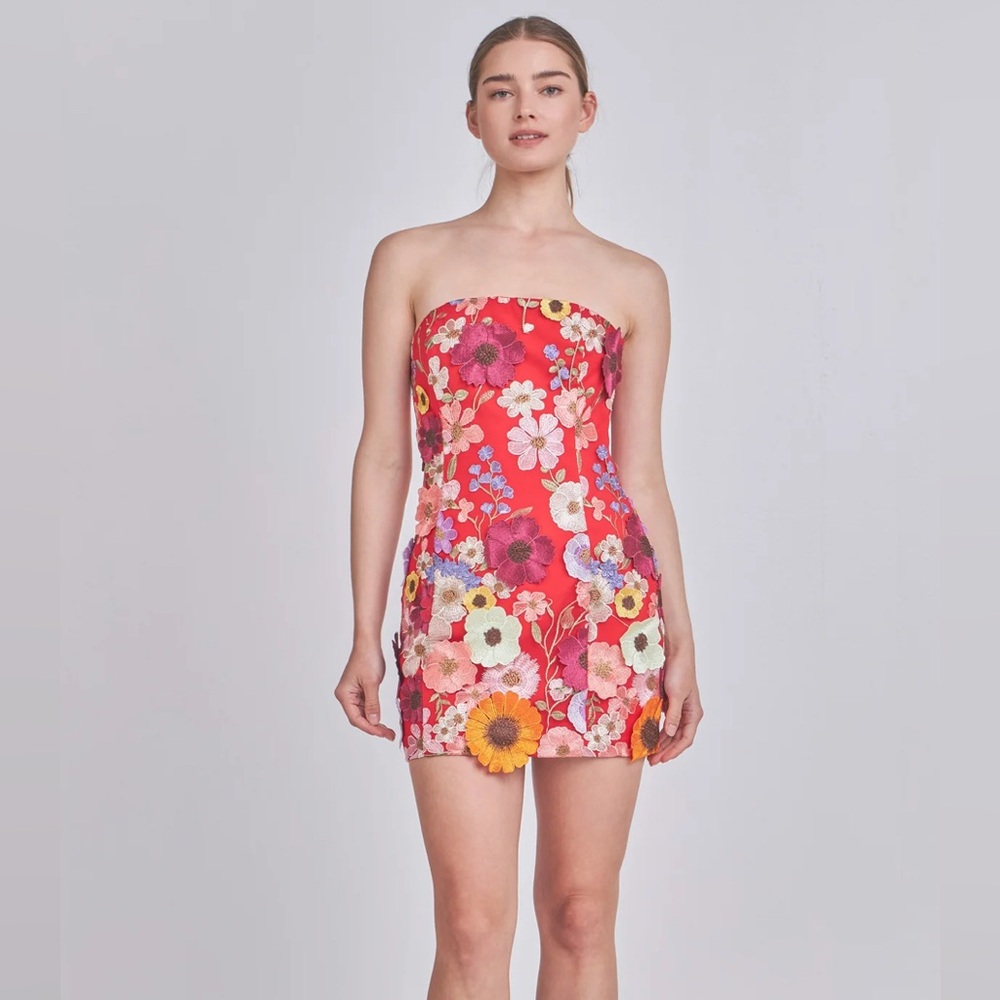 NWT Endless Rose FLORAL EMBROIDERED MINI DRESS, Medium